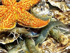 -富临港·蒸汽海鲜·手抓海鲜·炒菜(栈桥店)