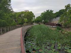 -海天湖公园