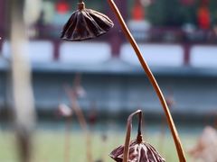 -李白纪念馆
