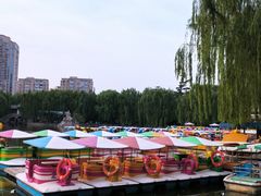 -团结湖公园