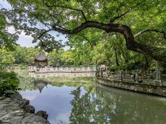 -汇龙潭