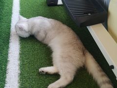 -M.S拳击泰拳馆(大学路店)