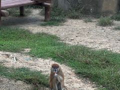 -杭州野生动物世界