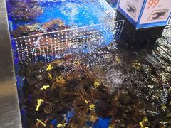 -盒马X会员店(王府井奥莱UP TOWN店)