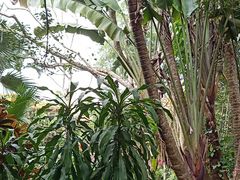 -海南热带野生动植物园