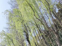 -黄兴公园