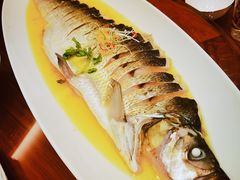 -鲁宴·鲁煨黄河生态大鲤鱼(月坛店)