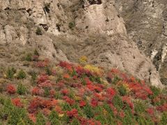 -玉渡山自然风景区