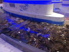-澜悦港海鲜体验主题餐厅