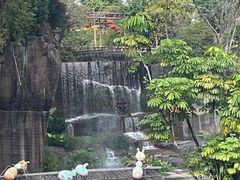 -广州莲花山旅游区