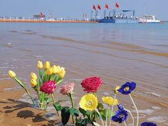 -天津东疆湾沙滩景区