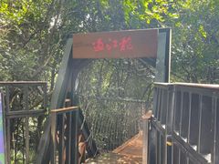 -亚龙湾热带天堂森林公园