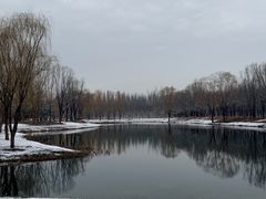 -东郊湿地公园