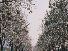 -花都广场
