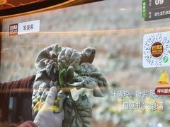 -巴奴毛肚火锅(龙湖锦艺城店)