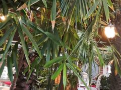 -大鹅岛绿色生态美食园