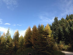 iphone_upload_pic-冶力关旅游区