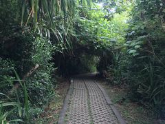 -鹅銮鼻公园