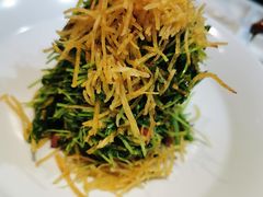 巧拌豆苗-四季民福烤鸭店(前门廊房二条店)