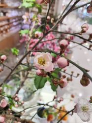 -今日陶艺(富力广场店)