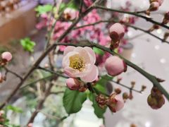 -今日陶艺(富力广场店)