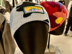 -Canada Goose加拿大鹅(北京三里屯太古里店)