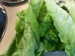 生菜-月圆火锅(宁海东路二店)