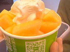 -Salud撒露欧洲冻酸奶(蓝色港湾店)