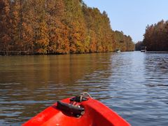 -上海海湾国家森林公园