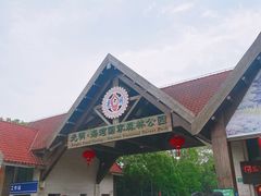 -上海海湾国家森林公园