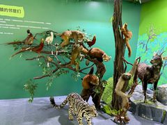 -国家自然博物馆