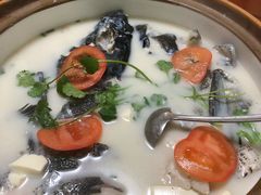 千岛湖浓汤鱼头-全乐鱼馆·淳牌有机鱼直营店