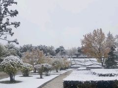 -青海藏文化博物院