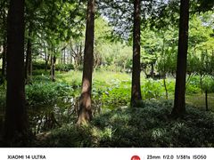 -陈家山荷花公园