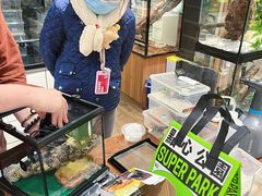 -酷以爬仙阁实体爬宠店·守宫·蜥蜴·专业繁育