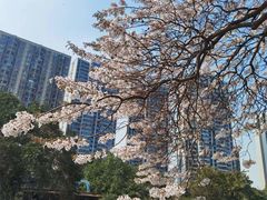 -红星桥(地铁站)