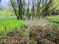 -西湖风景区-江洋畈生态公园