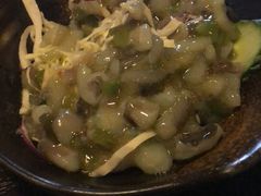 -春草居酒屋·晴子の店