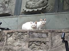 -东钱湖小普陀景区