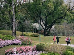 -云溪植物园