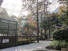 -宁海森林温泉