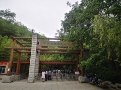 -牛背梁国家森林公园