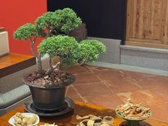 -龙悦湾酒家·八阵鱼生·渔人码头店