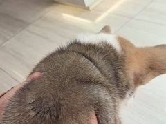 -申普宠物医院·眼科·心内科·影像科(普陀分院)