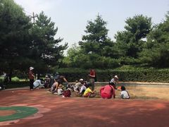 -玲珑塔公园