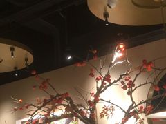 -佬肥猫·浙江乡村菜(国华广场店)