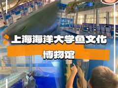 -上海海洋大学鱼文化博物馆(军工路校区)