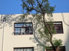 -青岛天主教堂(市南区)