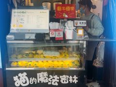 -猫的魔法密林(衣裳街店)