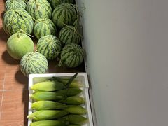 -南汇新场正宗水蜜桃采摘